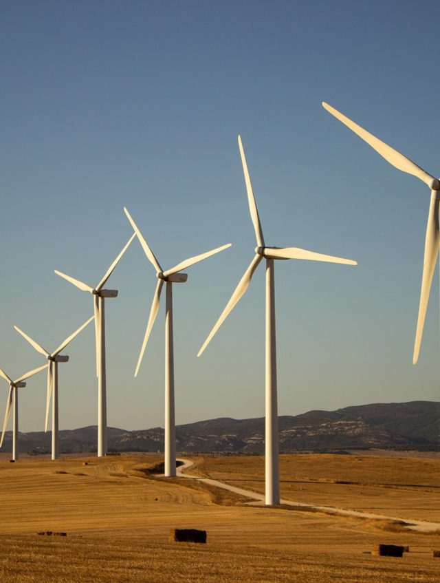 landscape-with-windmills landscape-with-windmills